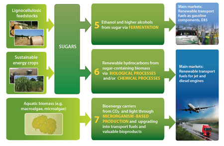 EIBI biochemical value chains