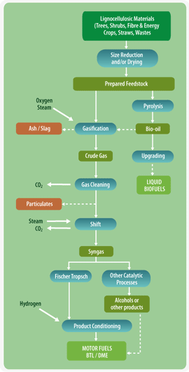 Thermochemical routes to liquid biofuels